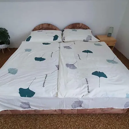 In 38068 بيت للعطل